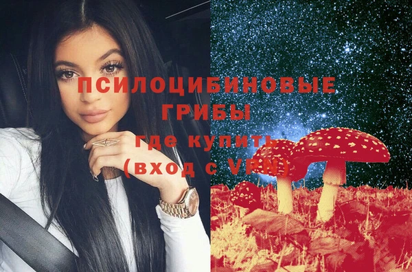 a pvp Дмитровск