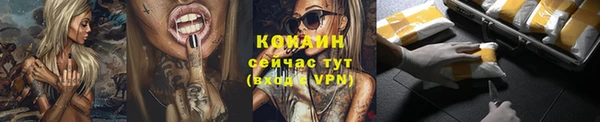 МДПВ Заводоуковск
