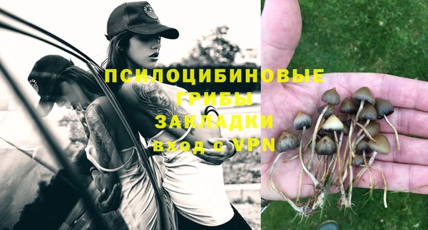 a pvp Дмитровск