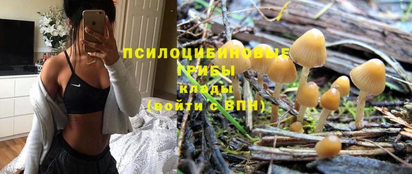 a pvp Дмитровск