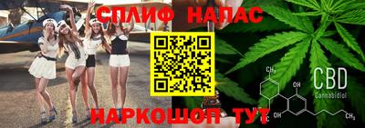 ПСИЛОЦИБИНОВЫЕ ГРИБЫ Донской