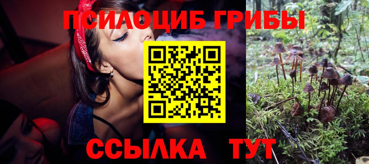 Псилоцибиновые грибы мухоморы Златоуст